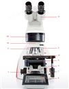 DM 6M  金相显微镜